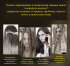 Глубоко увлажняющая сыворотка для волос Images Repair Hair